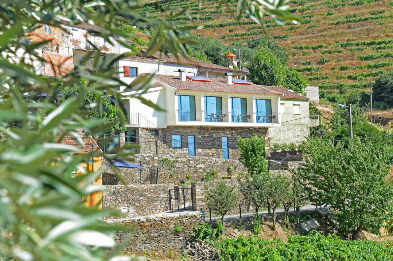 Douroxisto Aparthotel Peso da Régua Екстериор снимка